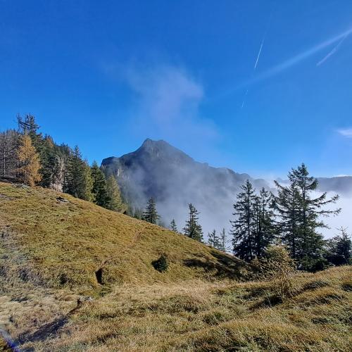 Wiesen und Berge