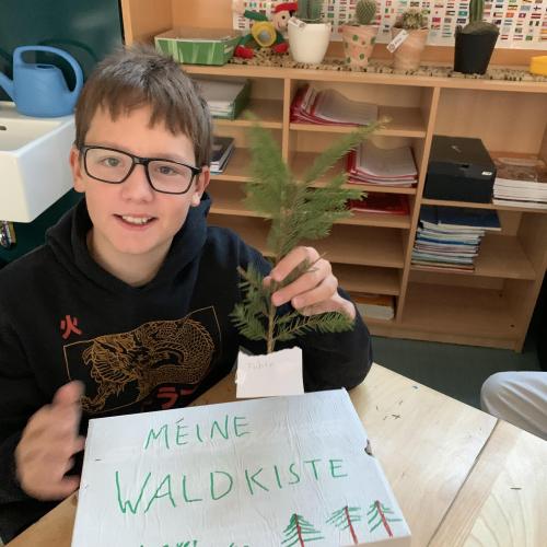 Waldkisten_2a