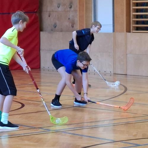 Landhockey
