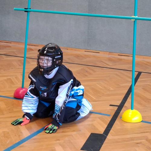Landhockey