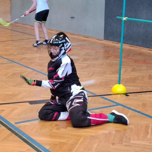 Landhockey