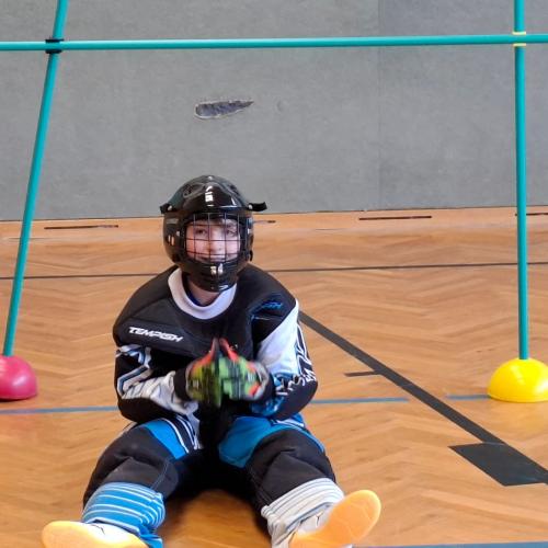 Landhockey