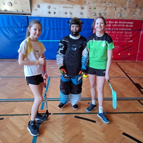 Landhockey