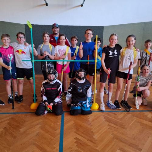 Landhockey