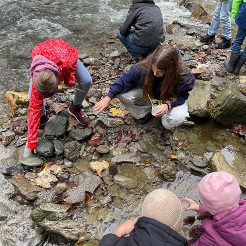 Buddys 4a Wasserschule