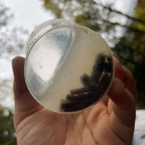 Buddys 4a Wasserschule