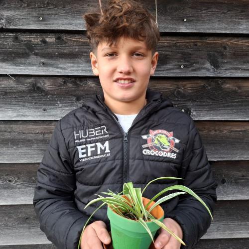 Pflanzenwuchswettbewerb