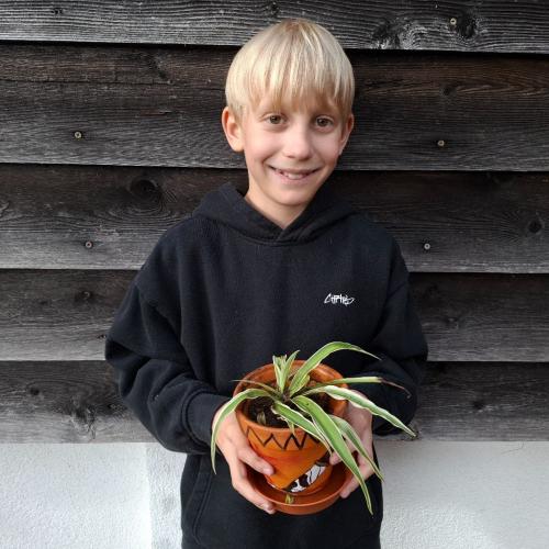 Pflanzenwuchswettbewerb