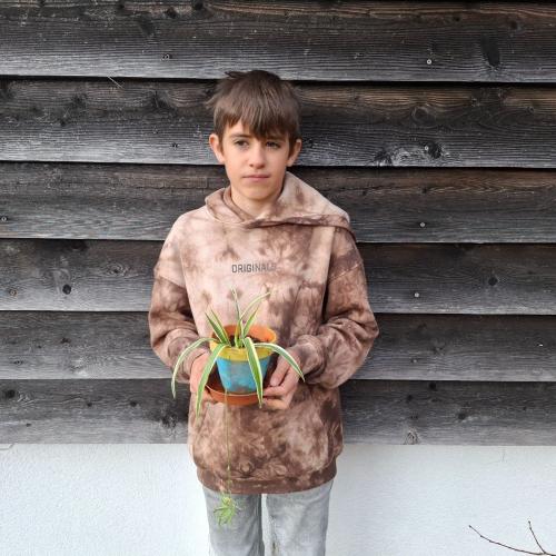 Pflanzenwuchswettbewerb