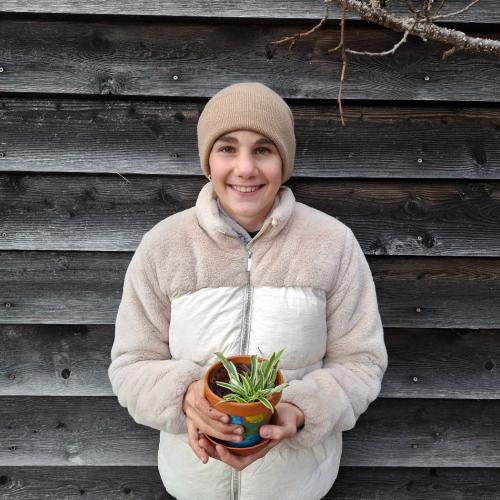 Pflanzenwuchswettbewerb