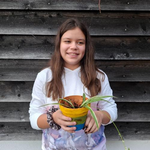 Pflanzenwuchswettbewerb