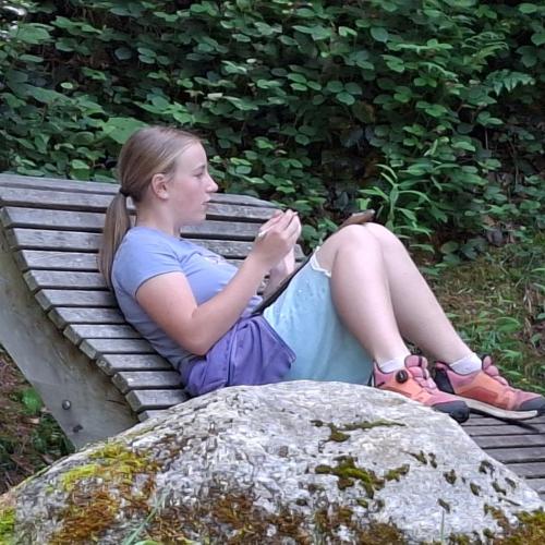 Geräusch-Landkarte