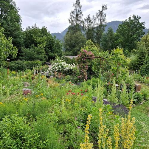 Hildegard-Garten