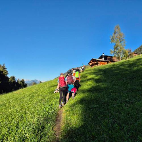 Auf dem Weg zum Oberhausberg
