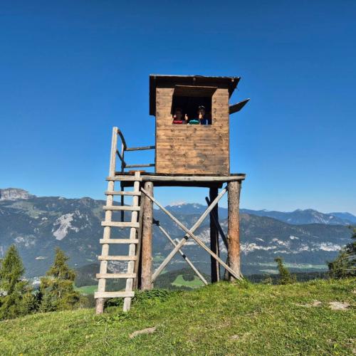 Ein Hochstand