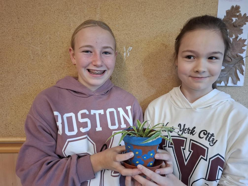 Pflanzenwuchswettbewerb