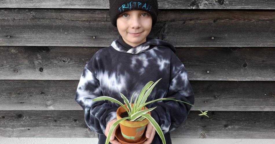 Pflanzenwuchswettbewerb